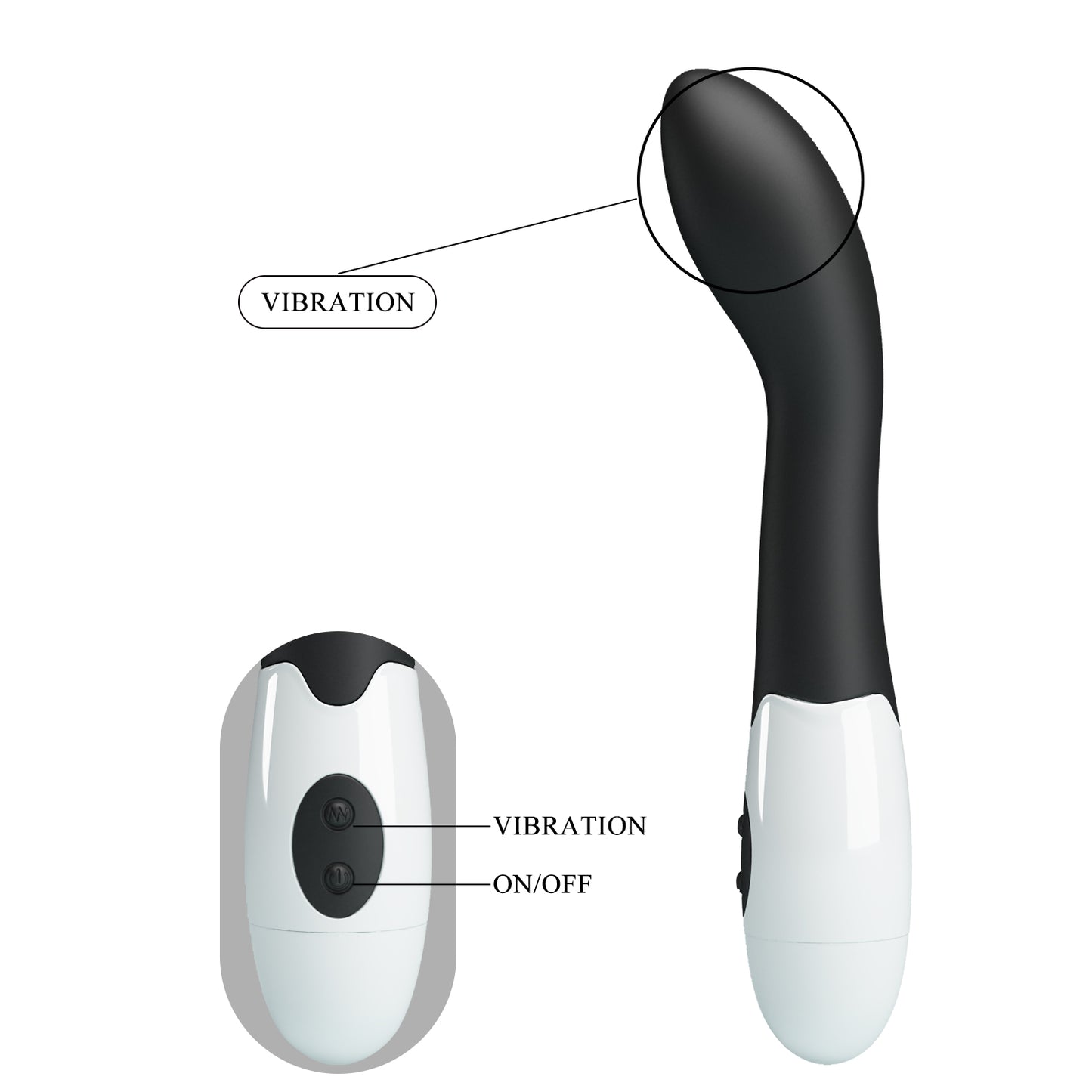 Vibrator Bishop