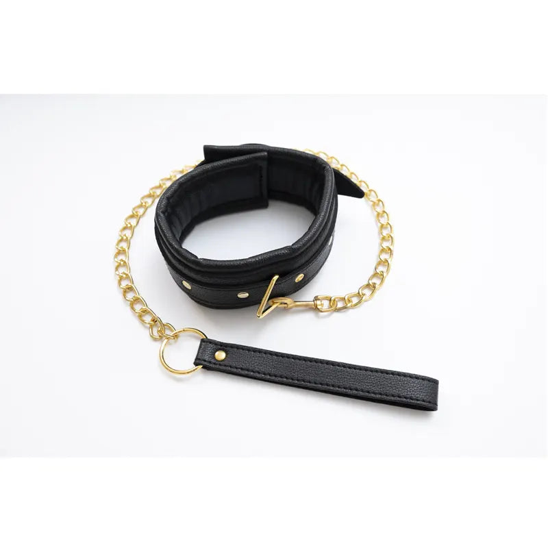 Luksuzna ogrlica sa povodcem – Luxury Collar and Leash